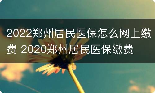 2022郑州居民医保怎么网上缴费 2020郑州居民医保缴费