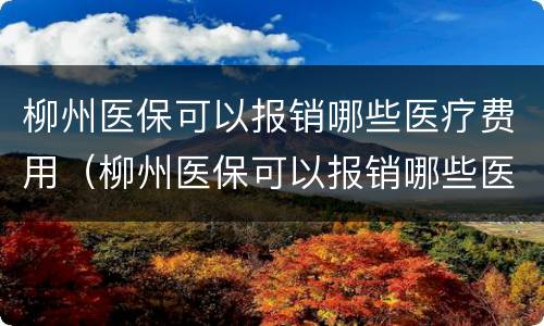柳州医保可以报销哪些医疗费用（柳州医保可以报销哪些医疗费用呢）