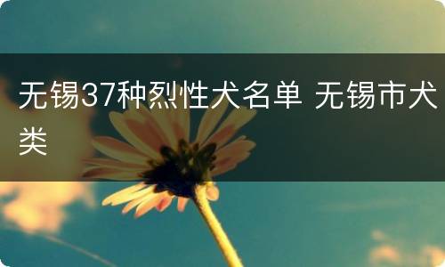 无锡37种烈性犬名单 无锡市犬类