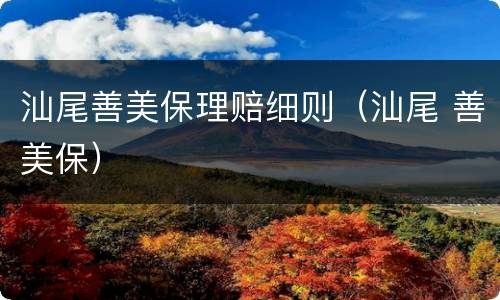 汕尾善美保理赔细则（汕尾 善美保）